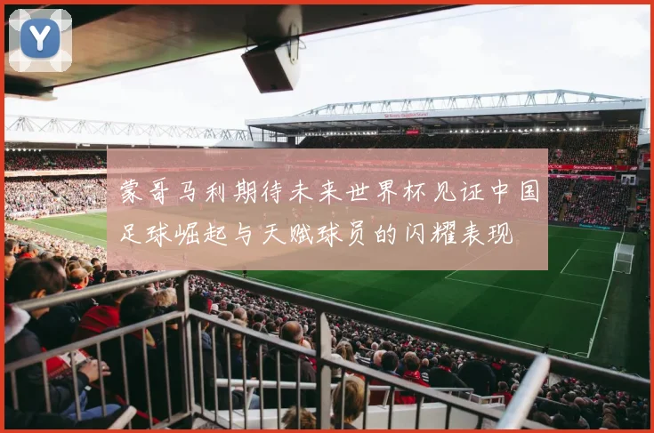 蒙哥马利期待未来世界杯见证中国足球崛起与天赋球员的闪耀表现