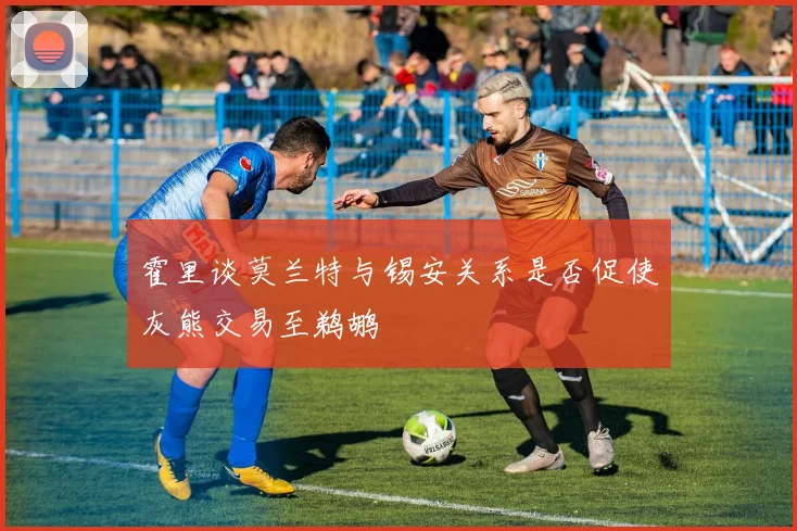 霍里谈莫兰特与锡安关系是否促使灰熊交易至鹈鹕
