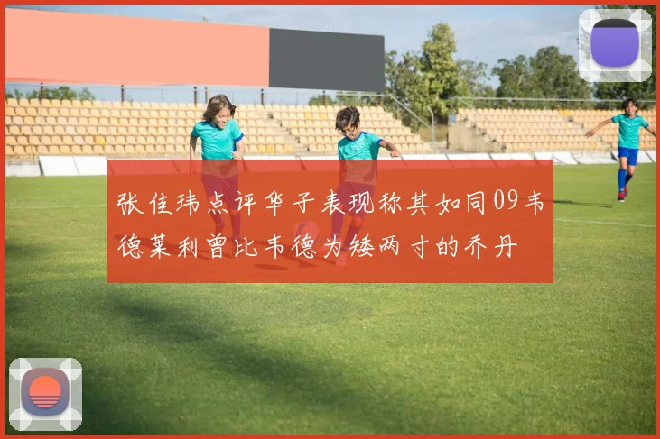 张佳玮点评华子表现称其如同09韦德莱利曾比韦德为矮两寸的乔丹